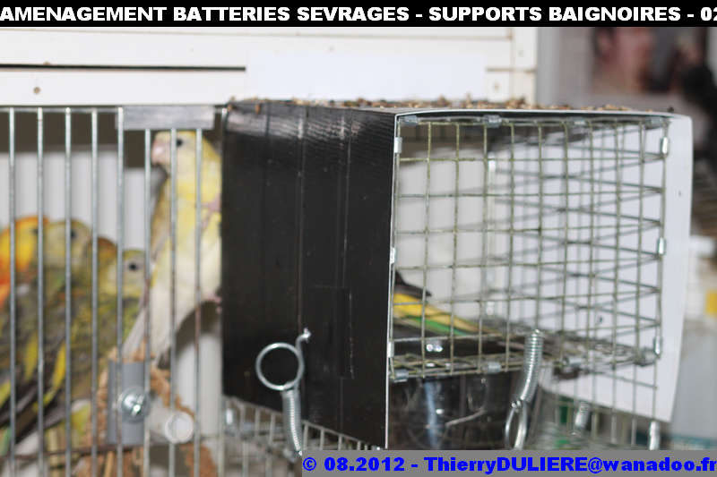 SAISON D'ELEVAGE 2012 - DUDULE - Page 39 AMENAGEMENT%20BATTERIES%20SEVRAGES%20-%20SUPPORTS%20BAIGNOIRES%20-%20024