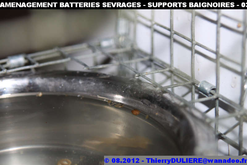 SAISON D'ELEVAGE 2012 - DUDULE - Page 39 AMENAGEMENT%20BATTERIES%20SEVRAGES%20-%20SUPPORTS%20BAIGNOIRES%20-%20030