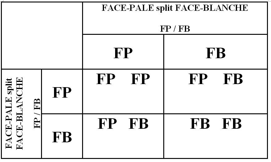 Accouplement FP%20split%20FB%20x%20FP%20split%20%20FB%20-%202