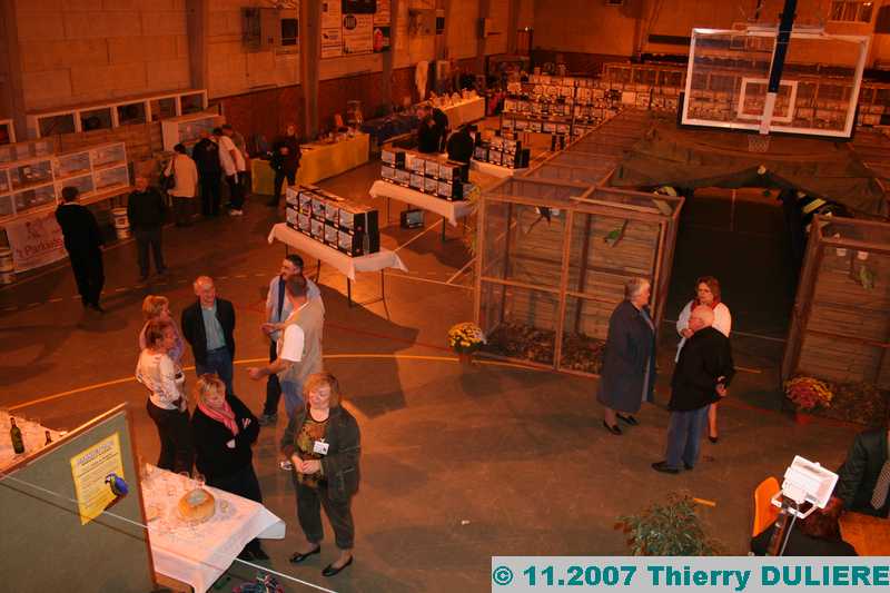 expo a saint nicolas les arras - Page 5 IMG_0311