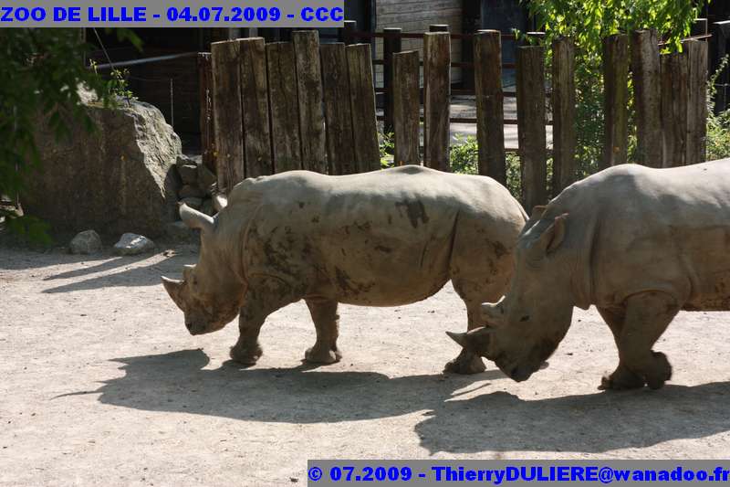 UN SAMEDI AU ZOO DE LILLE ZOO%20LILLE%20-%2009.07.04%20-%20014