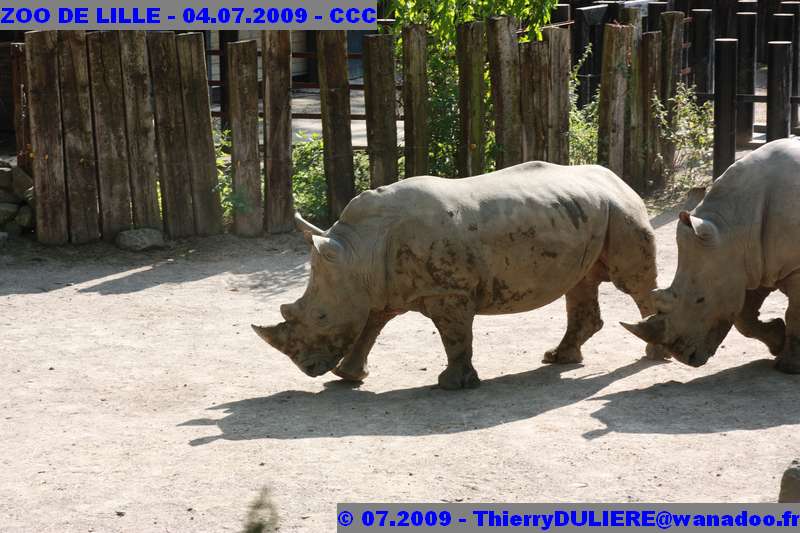 UN SAMEDI AU ZOO DE LILLE ZOO%20LILLE%20-%2009.07.04%20-%20018