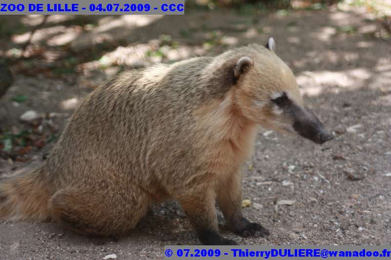 UN SAMEDI AU ZOO DE LILLE ZOO%20LILLE%20-%2009.07.04%20-%20195