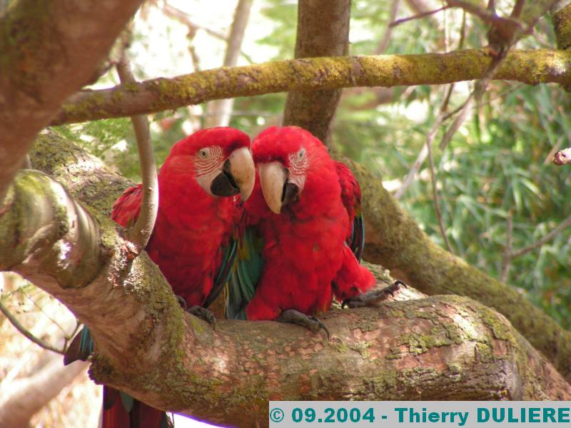 PARC ZOOLOGIQUE NATIONAL RABAT-TEMARA MAROC - 09.2004 ZOO%20RABAT%2009.2004%20085