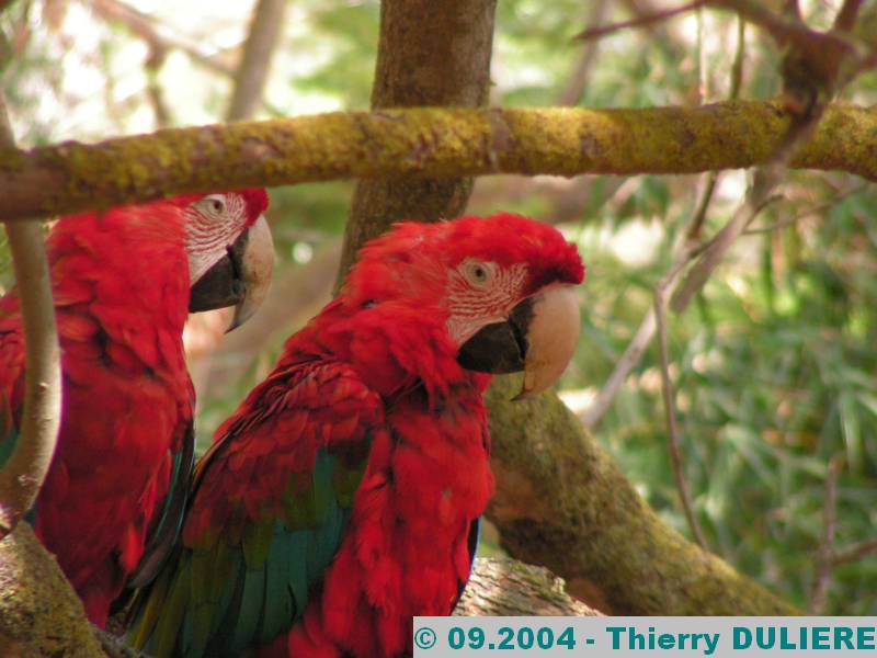 PARC ZOOLOGIQUE NATIONAL RABAT-TEMARA MAROC - 09.2004 ZOO%20RABAT%2009.2004%20086