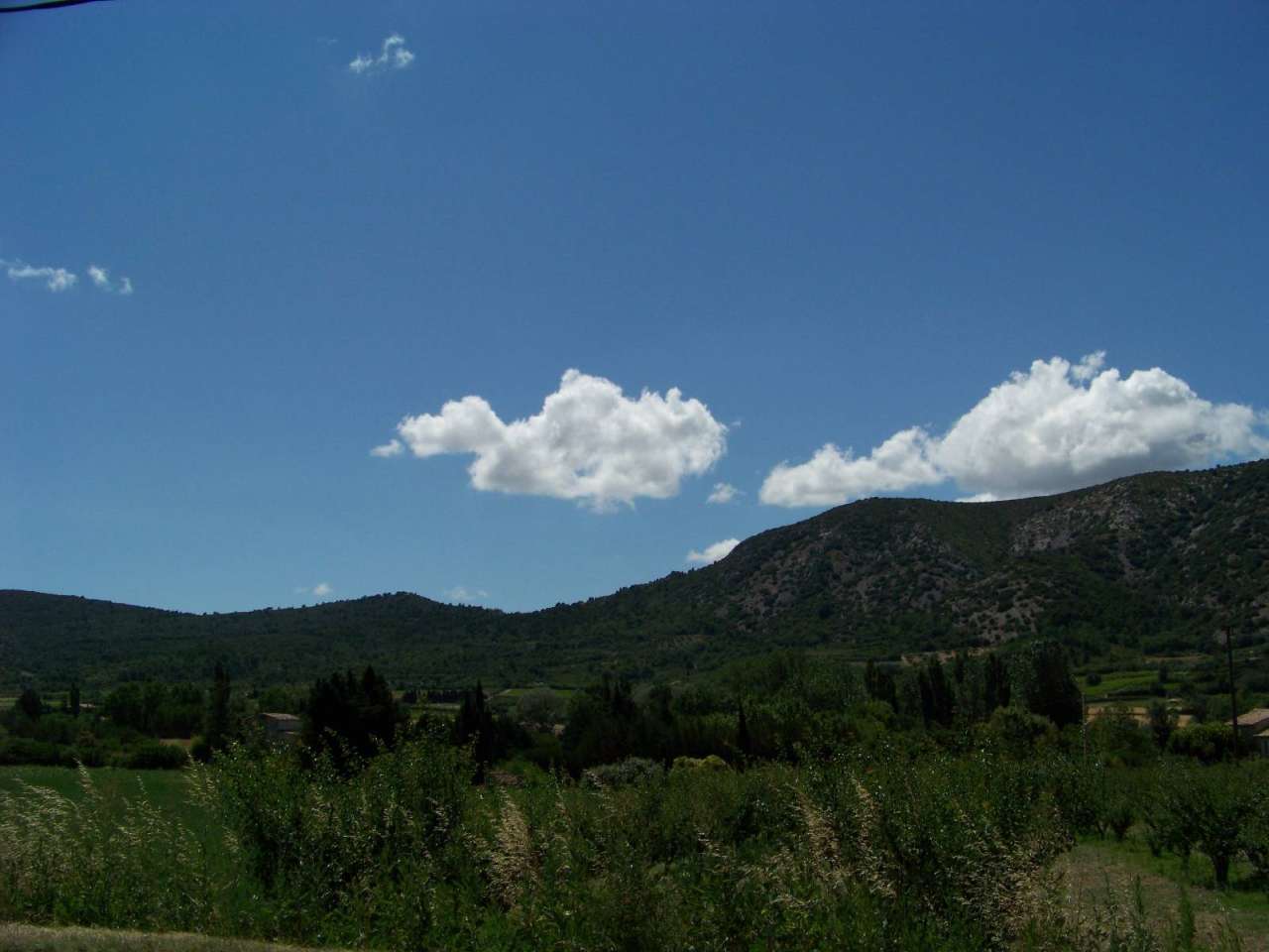 Balade au Mont Ventoux 2008 (Face Nord)  100_0252