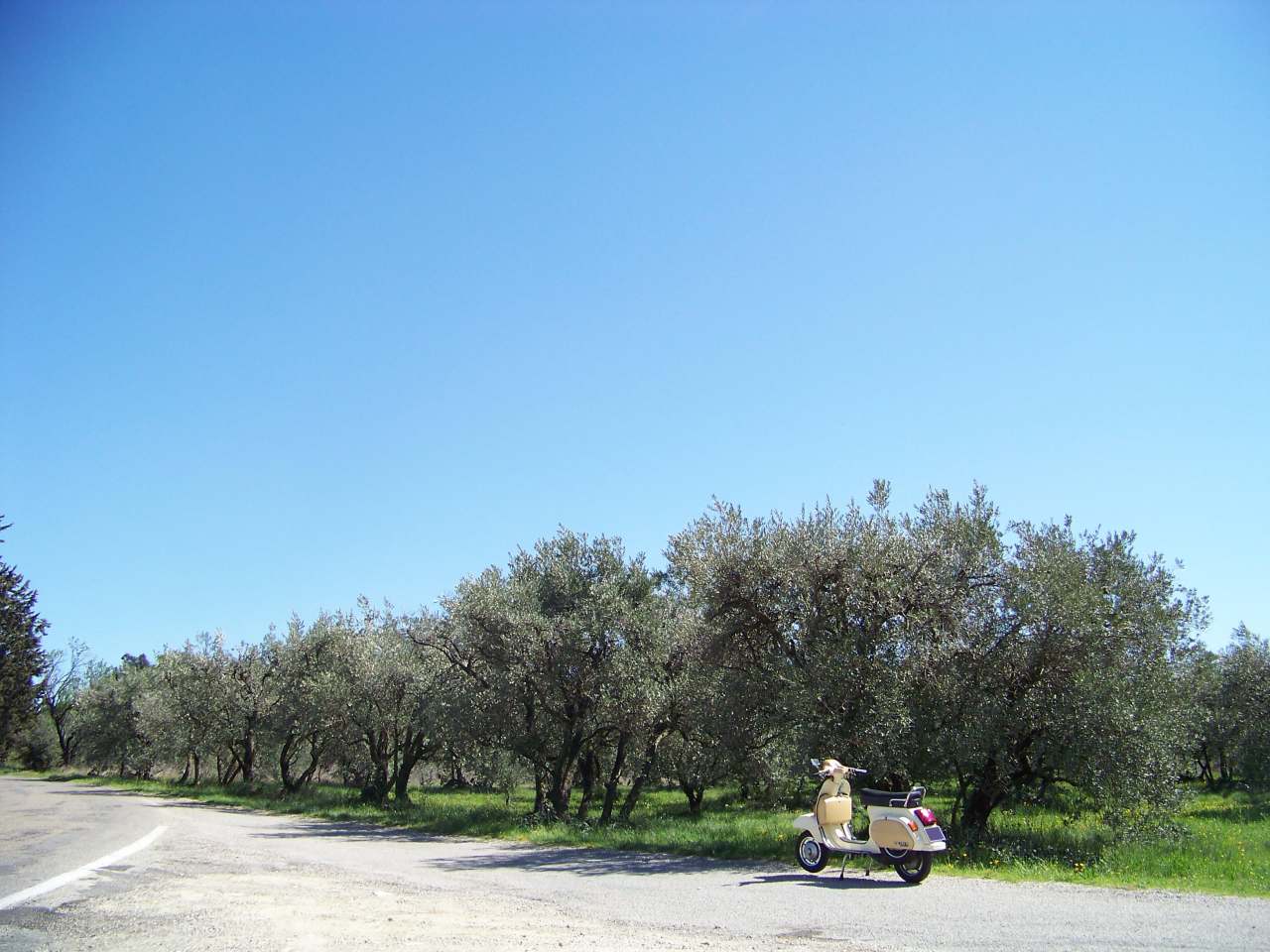 [Balade] Les Gorges de la Nesque en Vespa, en quête d'une Blonde ... Vespa-pk-nesque-04