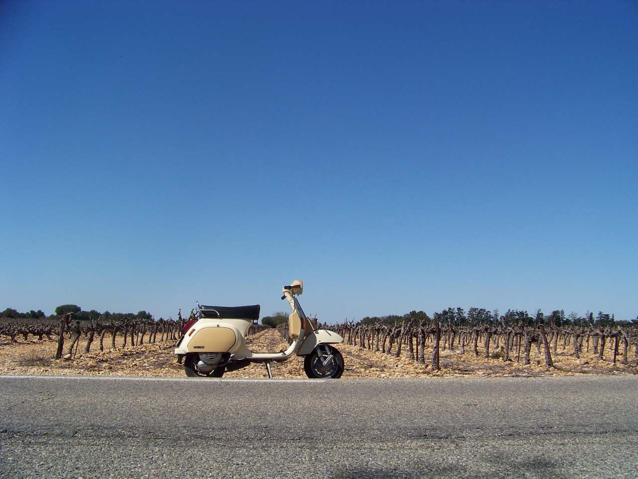 [Balade] Les Gorges de la Nesque en Vespa, en quête d'une Blonde ... Vespa-pk-nesque-08