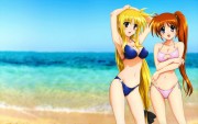 [Wallpaper] Mahou Shoujo Lyrical Nanoha 865eb3212568689