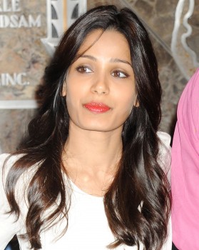 Freida Pinto 2ff639281214394