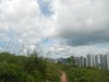 Hiking Tin Shui Wai - 頁 5 B464e8553839993