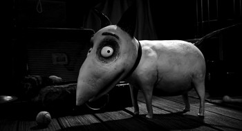 Frankenweenie Stop Motion - Page 2 C7c9f1228342009