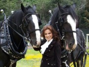 °°SILVIA NAVARRO°° 800520272752485