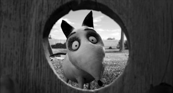 Frankenweenie Stop Motion - Page 2 4a265a228611398