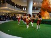 Washington Redskins Cheerleaders Daf982305462496