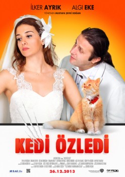 Kedi Özledi (2013) (DVDRip XviD) Yerli Film Tek Link İndir 82705b317389417