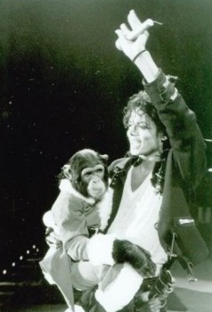 BAD WORLD TOUR  B0645c232532986