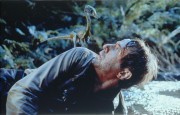 Парк юрского периода 2: Затерянный мир / The Lost World: Jurassic Park (Джефф Голдблюм, Джулианна Мур, Винс Вон, 1997) Bcdbe8408175135