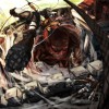 [Wallpaper-Manga/Anime] shingeki No Kyojin (Attack On Titan) 966d3f273264142