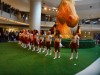 Washington Redskins Cheerleaders 359db5305465610