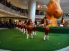 Washington Redskins Cheerleaders 463e8f305462260