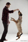 Kellan Lutz ''Doggie Aficionado' Outtakes B5509682528020