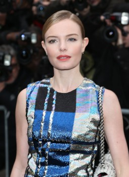 Kate Bosworth at the Christian Dior Fashion Show in Paris 1/ 7347ed302779392