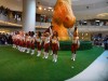 Washington Redskins Cheerleaders Ba4fb5305465445