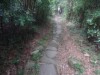 Hiking Tsuen Wan Dbdb97349598276