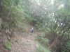 Hiking Tsuen Wan 3bb357349693725