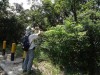 Hiking Tai Lam Kok 791ca8352477461