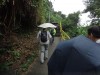 Hiking Tsuen Wan 7f1524363018982