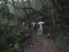 Hiking Tsuen Wan 03a313363034168