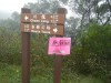 Hiking Tsuen Wan B595ac363039697