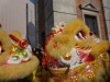 香港龍獅節 Hong Kong Lion Dragon Festival 3ccfa0302881930