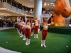 Washington Redskins Cheerleaders B6d646305466346