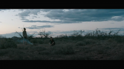 17 Abril - Capturas y Gifs del trailer de "THE ROVER"!!! 11ffb2321336389