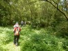 Hiking Tsuen Wan B03fd6349686471