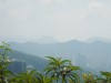 Hiking Tsuen Wan Bbac7f349684922