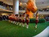 Washington Redskins Cheerleaders 2d2c84305465487