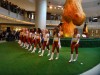 Washington Redskins Cheerleaders 55a7c3305465731