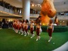 Washington Redskins Cheerleaders Ef4e06305465691