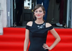  Marion Cotillard- UK Premiere of 'Two Days, One Night' at  C24854343654398