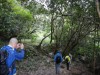 Hiking Tsuen Wan B3a7c6363139773