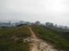 Hiking Tin Shui Wai 16f5c7448543433