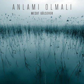 Mesut Gülsever - Anlamı Olmalı (2015) Maxi Single Albüm İndir 75a150448965040