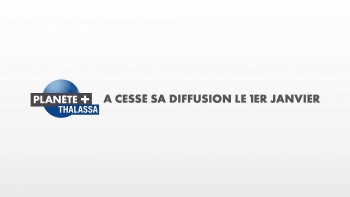 pour - UPC: Les dernières nouveautés TV - Page 15 05cb96456000641