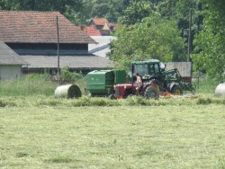 Sjenaža                                                   9dcc5e486149827