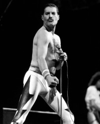 Queen и Freddie Mercury 3c02e4516068123