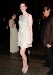 Anne Hathaway @ American Museum of Natural History‘s Winter Dance in New York City on March 11, 2008 x47 6000f5497218431